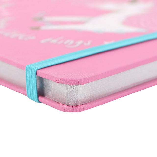 A5 hard cover notebook in pink with unicorn design and slogan: Pretty Little Things