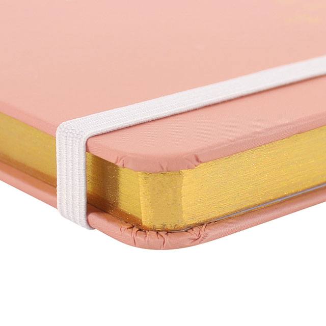 A6 hard cover notebook in pink with phrase: Amazing Plans