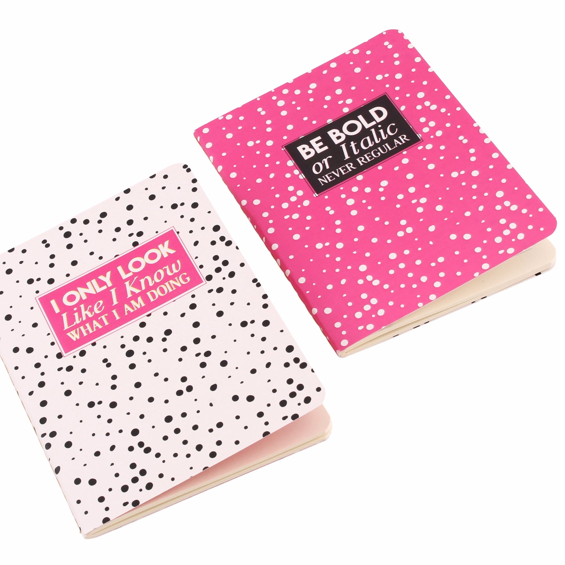 2 x A6 paperback notebooks with slogans  I only look like I know what I'm doing Be bold or italic never regular
