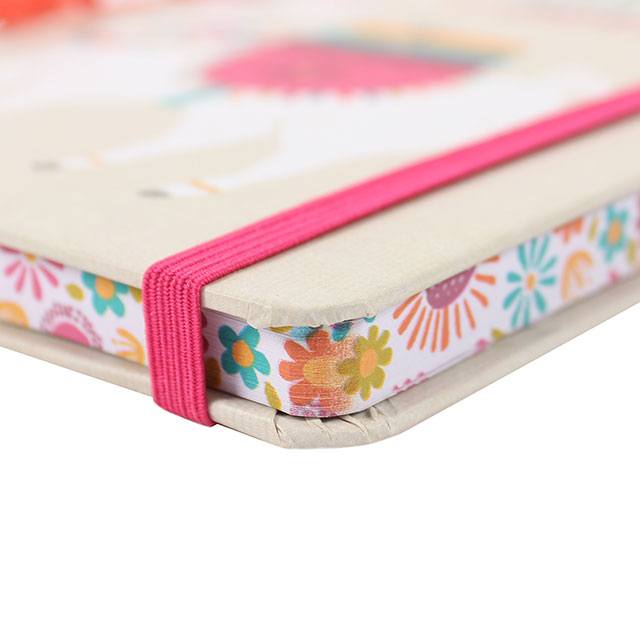 A5 hard cover notebook with fun llama design and slogan: This Llama Wants No Drama